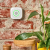 SHELLY Smart Sensor de Gás Natural WiFi com Alarme Sonoro e Luminoso