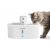 PETWANT Bebedor para animais de estimação W4-L