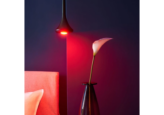 SHELLY Smart LED Lâmpada WiFi Duo RGBW GU10