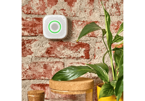 SHELLY Smart Sensor de Gás GPL WiFi com Alarme Sonoro e Luminoso