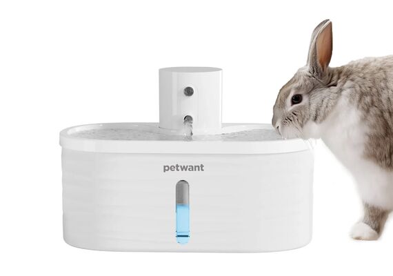 PETWANT Bebedor para animais de estimação W4-L