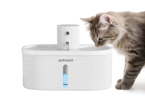 PETWANT Bebedor para animais de estimação W4-L
