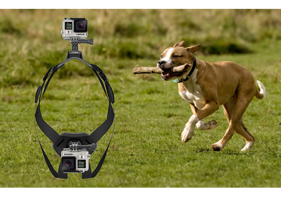 PULUZ  Action Cam Peitoral para Cão