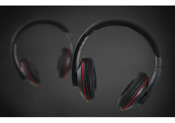 ESPERANZA Headphones EH121